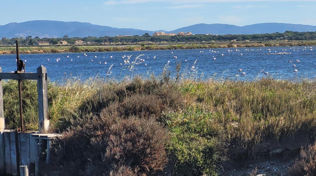 Pesquiers T2 Grande Terrasse Διαμέρισμα Ιέρ Εξωτερικό φωτογραφία
